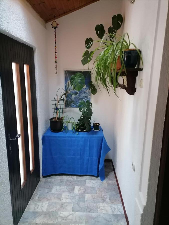 Apartman Zepina Πούλα Εξωτερικό φωτογραφία